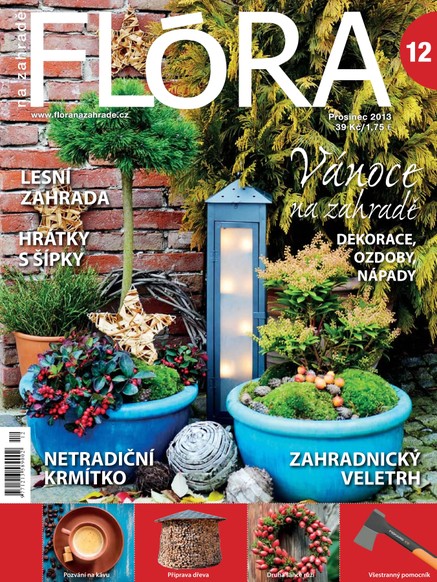 Flóra na zahradě 12/2013