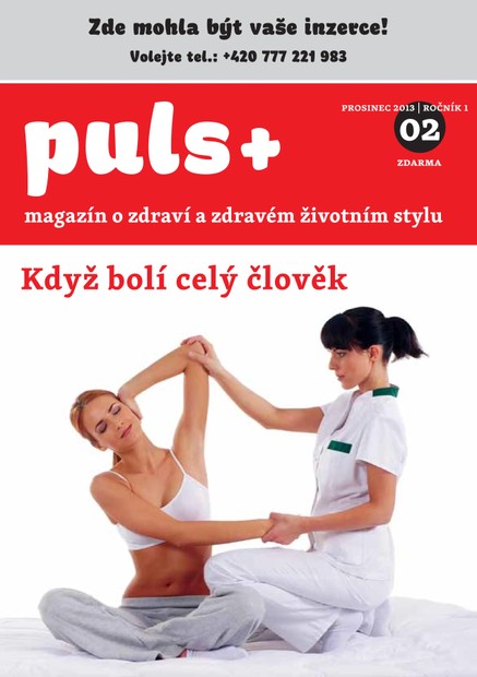 Puls 2/2013