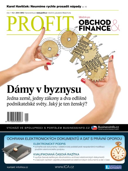 Profit 13.1.2014