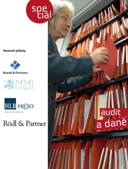 Audit a daně 28.2.2014