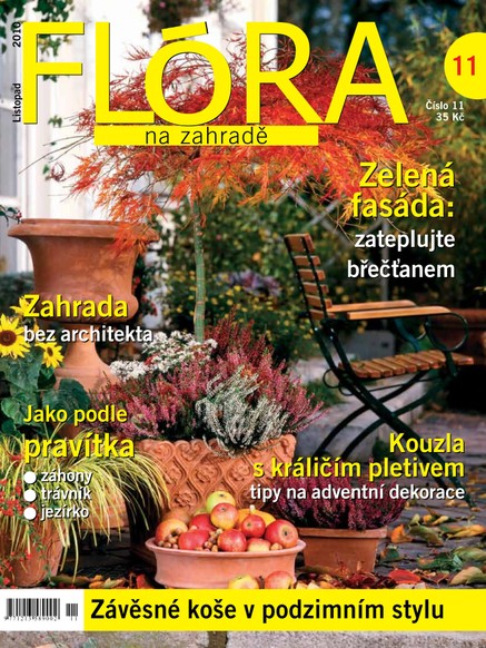 Flóra na zahradě 11/2010