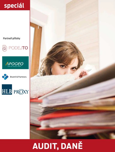 Audit, daně 23.2.2015
