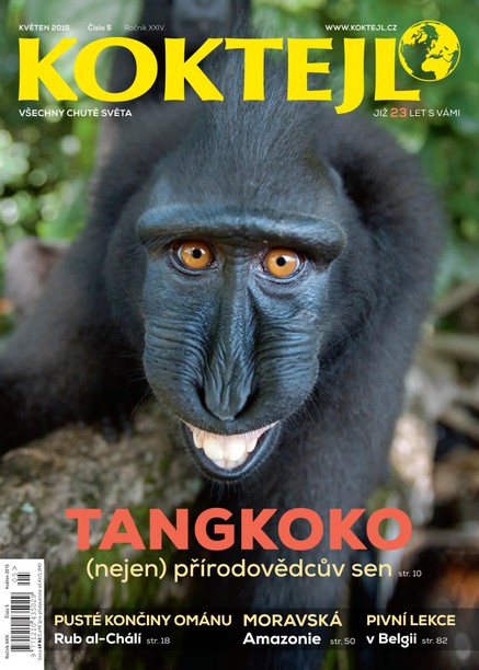 Koktejl 5/2015