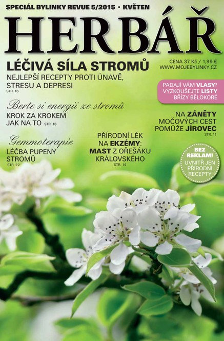 Herbář 5/15 léčivé stromy