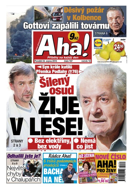 AHA! - 24.8.2015