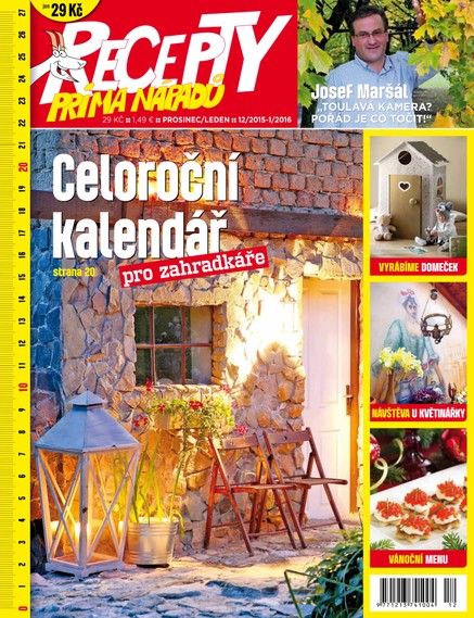Recepty prima nápadů 12/2015-1/2016