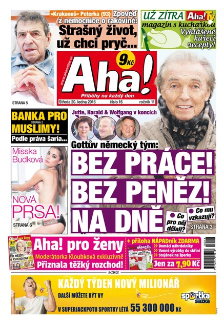 AHA! - 20.1.2016