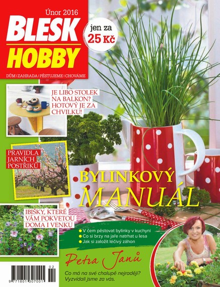 Blesk Hobby - 2/2016