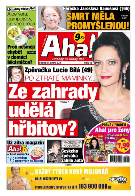 AHA! - 24.2.2016