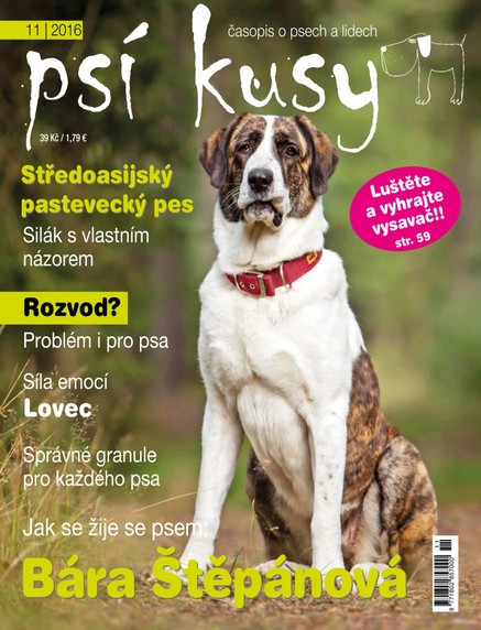 Psí kusy 11/2016