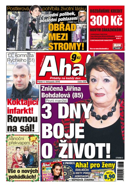 AHA! - 4.11.2016