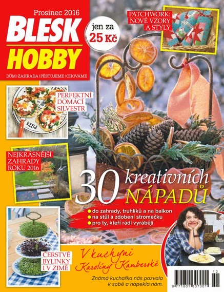 Blesk Hobby - 12/2016