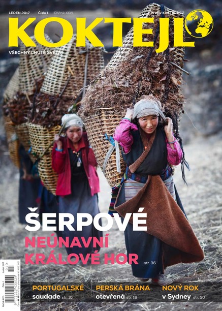 Koktejl 1/2017
