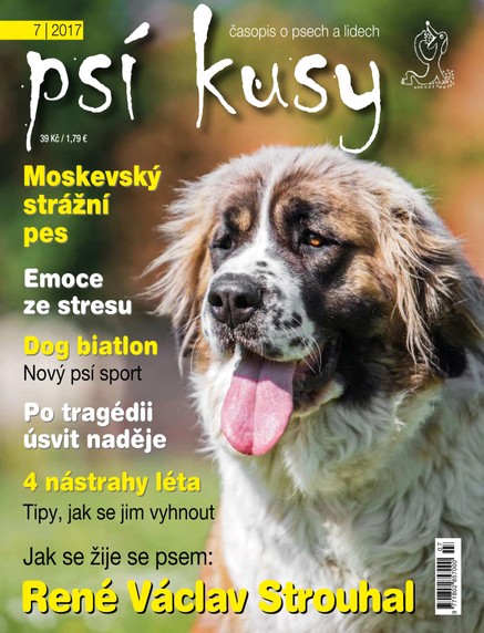 Psí kusy 7/2017