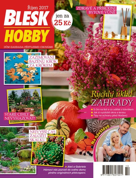 Blesk Hobby - 10/2017