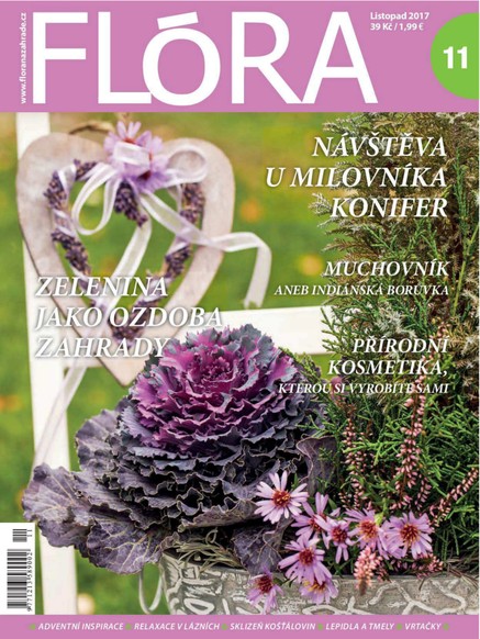 Flóra 11-2017