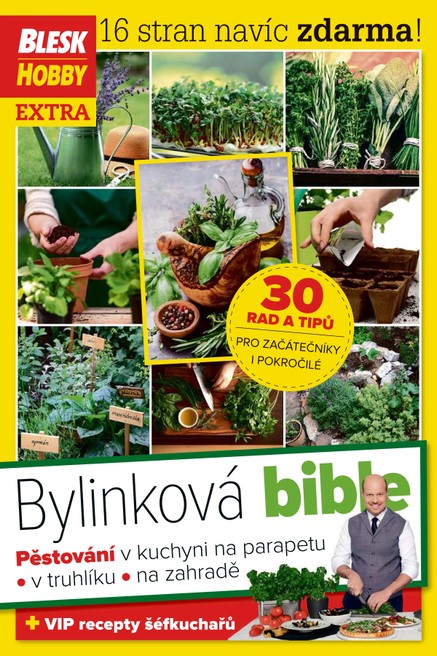 Příloha Blesk Hobby - 02/2018