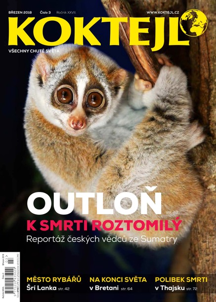 Koktejl 3/2018