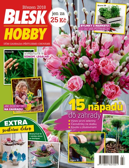 Blesk Hobby - 03/2018