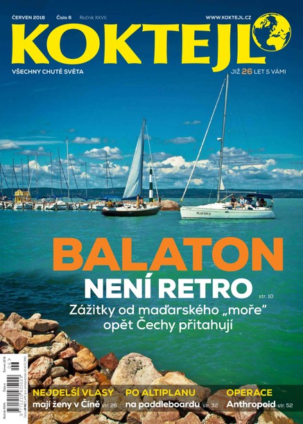 Koktejl 6/2018