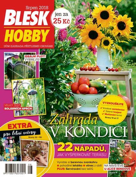 Blesk Hobby - 08/2018