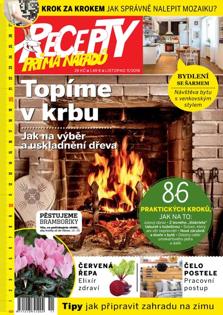 Recepty prima nápadů 11/2018