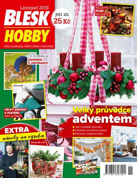 Blesk Hobby - 11/2018