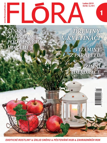 Flora 1-2019