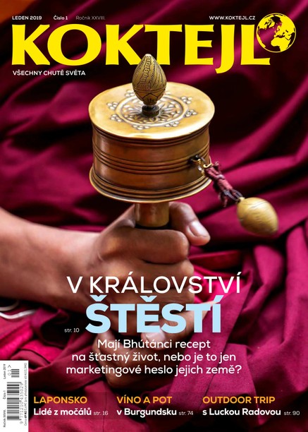 Koktejl 1/2019