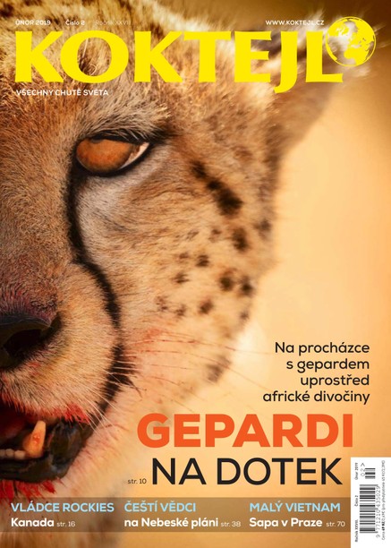 Koktejl 2/2019