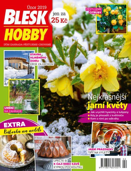 Blesk Hobby - 02/2019