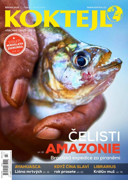 Koktejl 3/2019