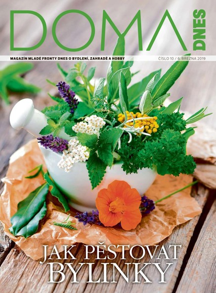 DOMA DNES - 6.3.2019