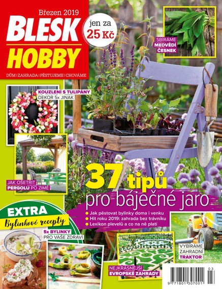 Blesk Hobby - 03/2019