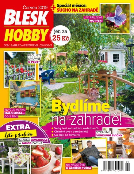 Blesk Hobby - 6/2019