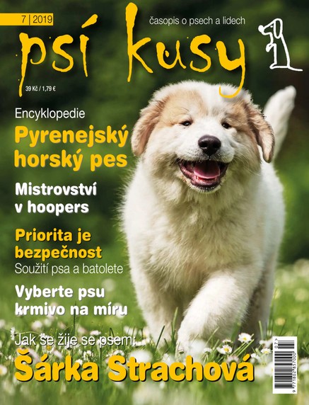 Psí kusy 7/2019