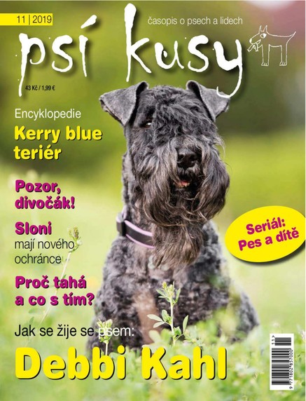 Psí kusy 11/2019