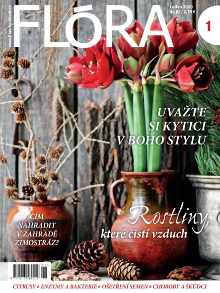 Flora 1-2020