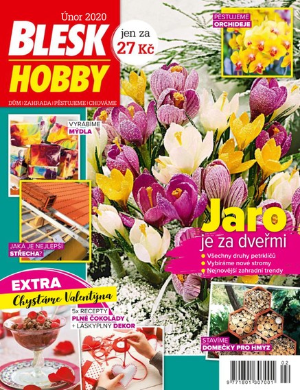 Blesk Hobby - 02/2020