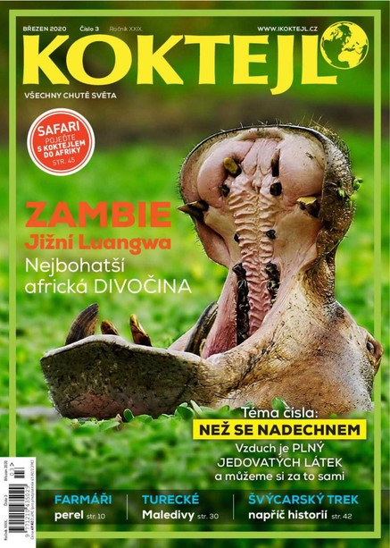 Koktejl 3/2020
