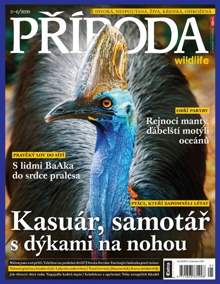 Příroda 5-6/2020