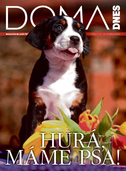 DOMA DNES - 22.4.2020