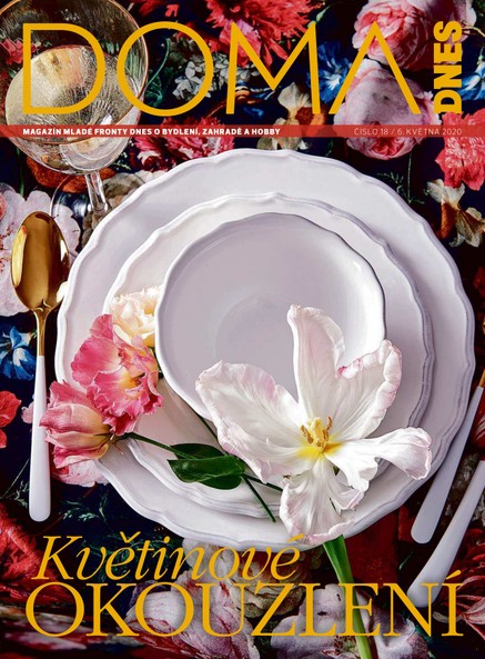 DOMA DNES - 6.5.2020