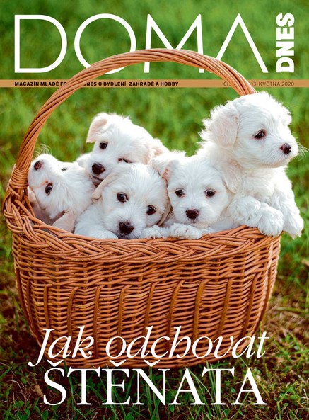 DOMA DNES - 13.5.2020