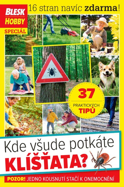 Příloha Blesk Hobby - 06/2020