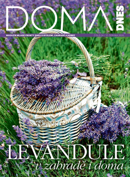 DOMA DNES - 17.6.2020