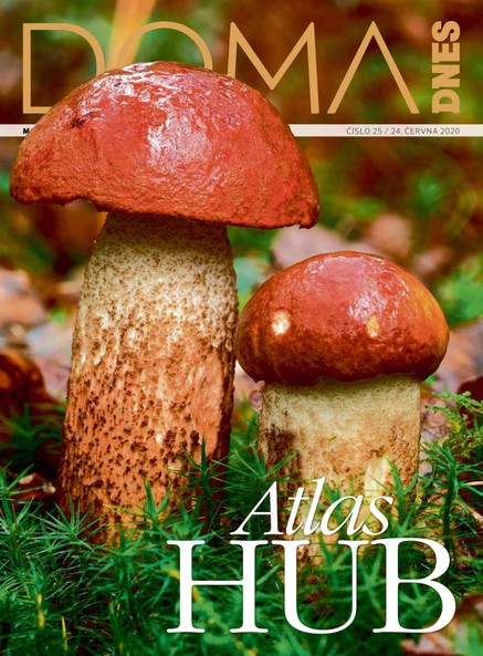 DOMA DNES - 24.6.2020