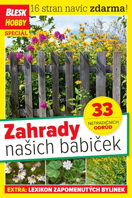 Příloha Blesk Hobby - 07/2020