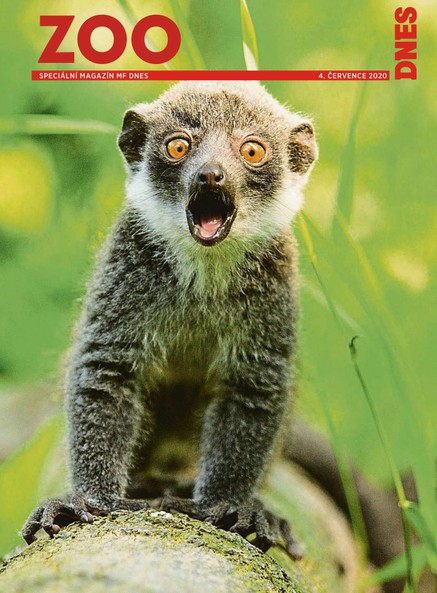 MF DNES extra Vysočina - 4.7.2020