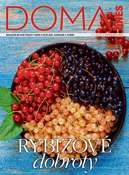 DOMA DNES - 8.7.2020